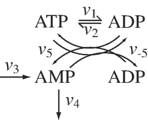 Figure-2-5