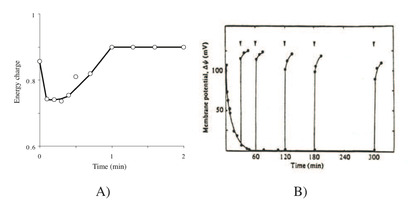 Figure-7-4