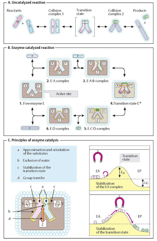 Figure-5-1