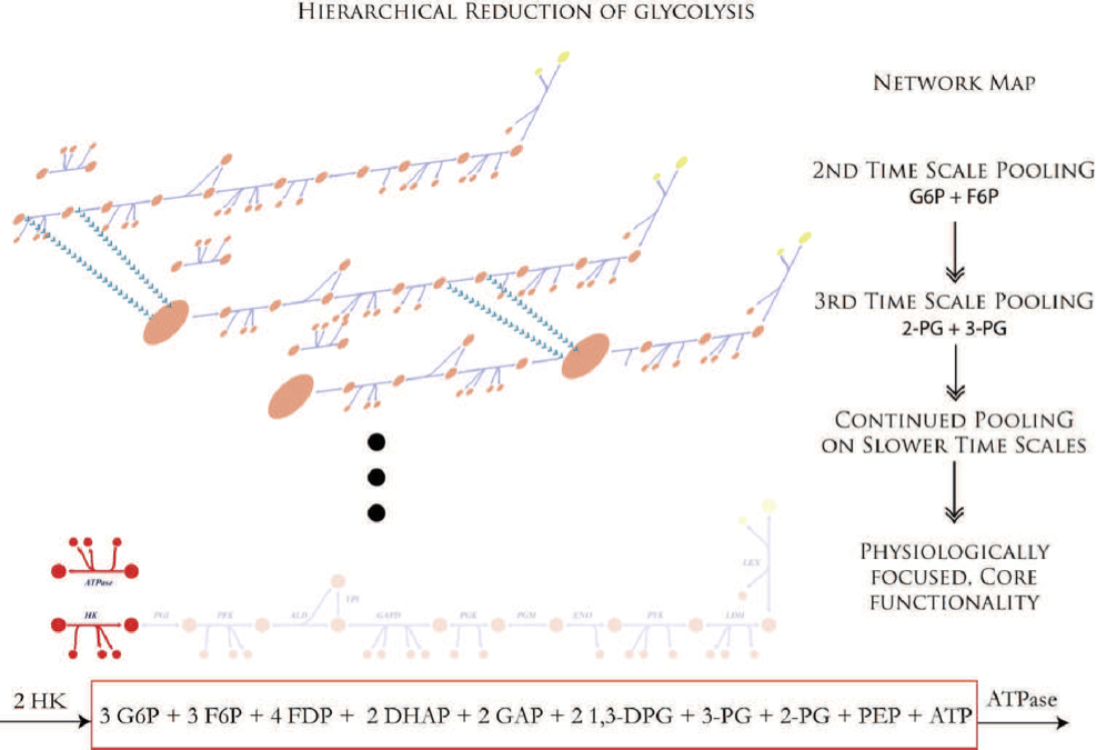 Figure-1-3
