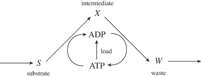Figure-2-11