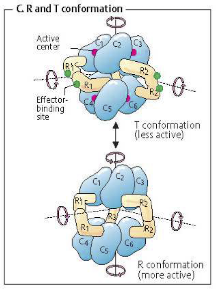 Figure-5-6